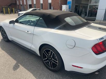 Used 2022 Ford Mustang Premium w/ Equipment Group 201A