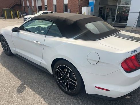 Used 2022 Ford Mustang Premium w/ Equipment Group 201A image 1