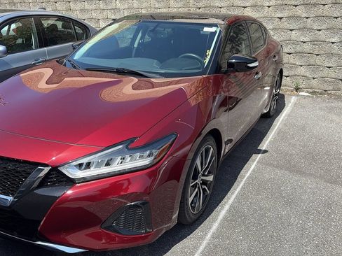 Used 2019 Nissan Maxima 3.5 SL FWD image 1