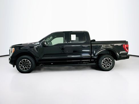 Used 2023 Ford F150 XLT w/ Equipment Group 302A High AWD/4WD image 4