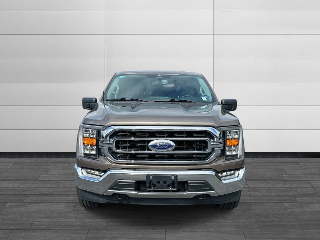 Used 2023 Ford F150 XLT w/ Equipment Group 302A High AWD/4WD image 8