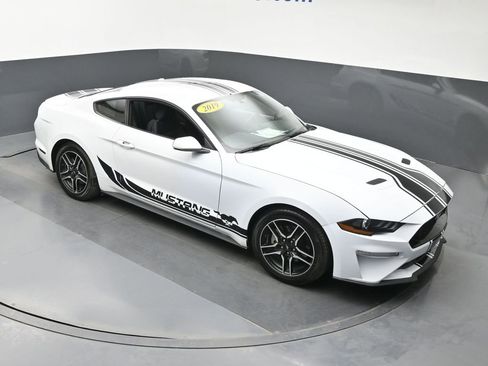 Used 2019 Ford Mustang Coupe w/ Equipment Group 101A RWD image 3