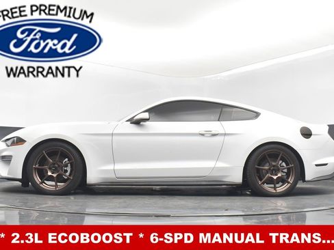 Used 2019 Ford Mustang Coupe image 24