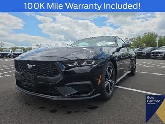 Certified 2024 Ford Mustang Premium RWD video 2