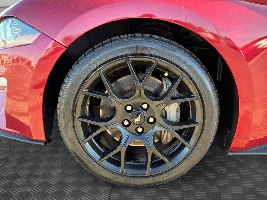 Used 2019 Ford Mustang Premium w/ Ecoboost Performance Package RWD image 22