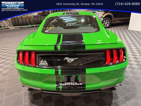 Used 2019 Ford Mustang Coupe w/ Equipment Group 101A image 6