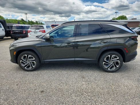 Used 2025 Hyundai Tucson Limited image 4