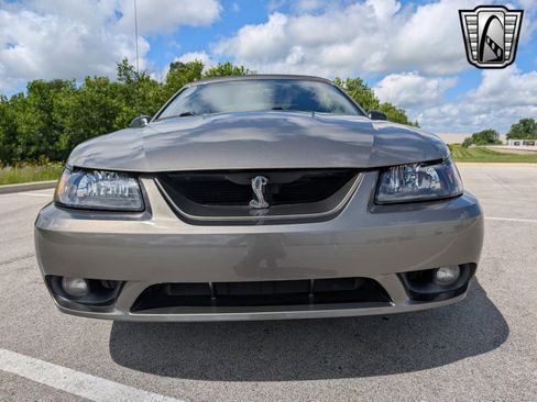 Used 2001 Ford Mustang Cobra image 9