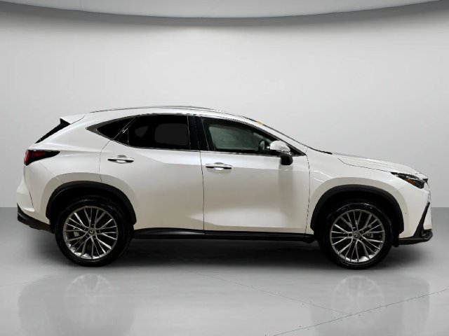Certified 2024 Lexus NX 350h AWD w/ Vision Package image 2