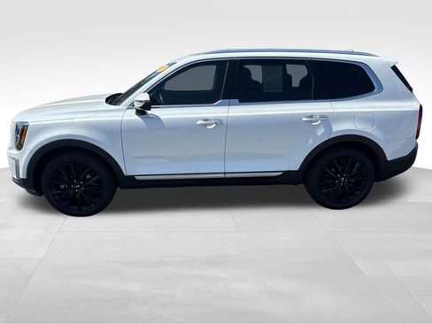 Used 2020 Kia Telluride SX FWD image 2