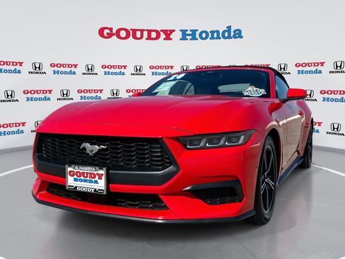 Used 2024 Ford Mustang Premium RWD image 1