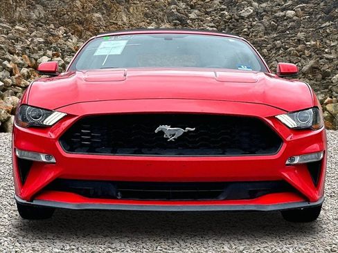 Used 2020 Ford Mustang Premium RWD image 3