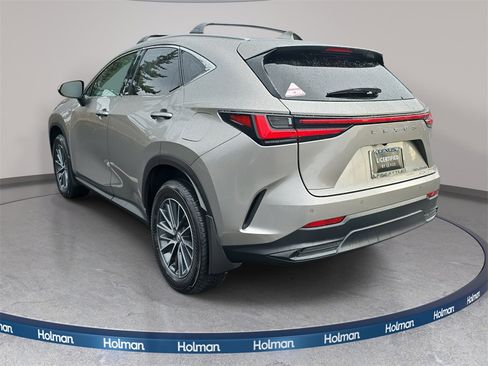 Certified 2025 Lexus NX 350h AWD w/ Premium Package image 7
