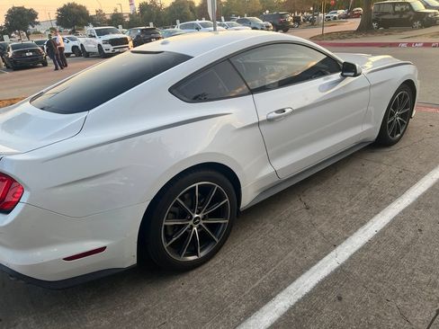 Used 2019 Ford Mustang Premium w/ Wheel & Stripe Package RWD image 4