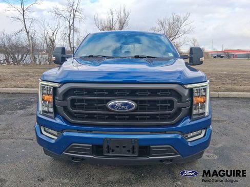 Used 2023 Ford F150 XLT w/ Equipment Group 302A High image 2