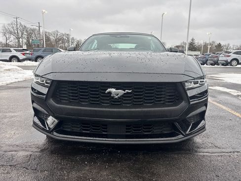 Used 2025 Ford Mustang Premium image 3