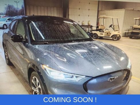 Used 2021 Ford Mustang Mach-E Premium image 1