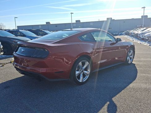 Used 2019 Ford Mustang Premium w/ Equipment Group 201A image 3