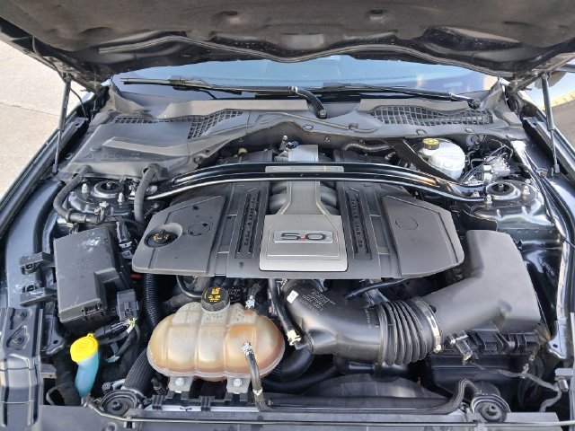 Used 2019 Ford Mustang GT Premium RWD image 13