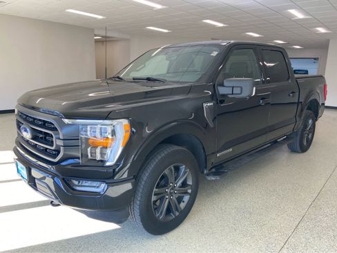 Used 2023 Ford F150 XLT w/ Equipment Group 302A High image 3
