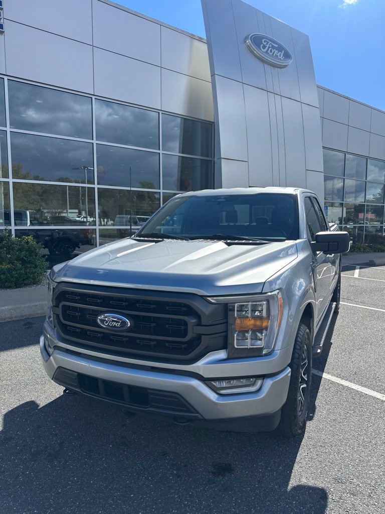 Used 2023 Ford F150 XLT w/ Equipment Group 302A High AWD/4WD image 3