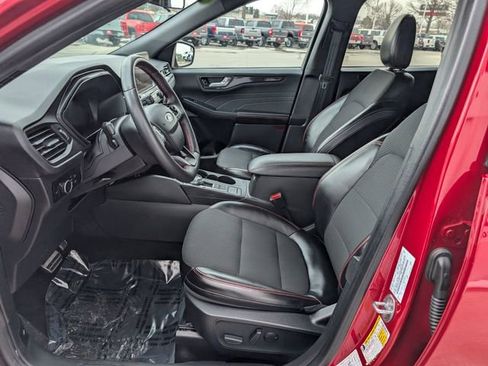 Used 2024 Ford Escape ST-Line image 2