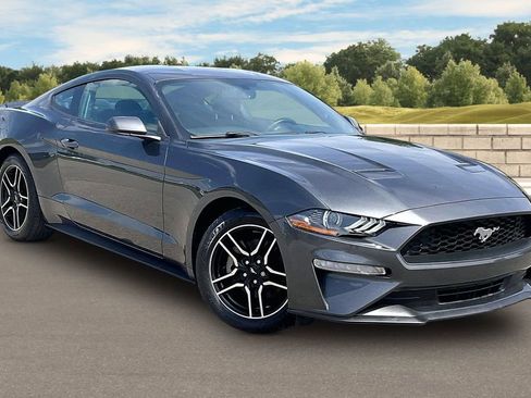 Used 2019 Ford Mustang Coupe w/ Equipment Group 101A RWD image 2