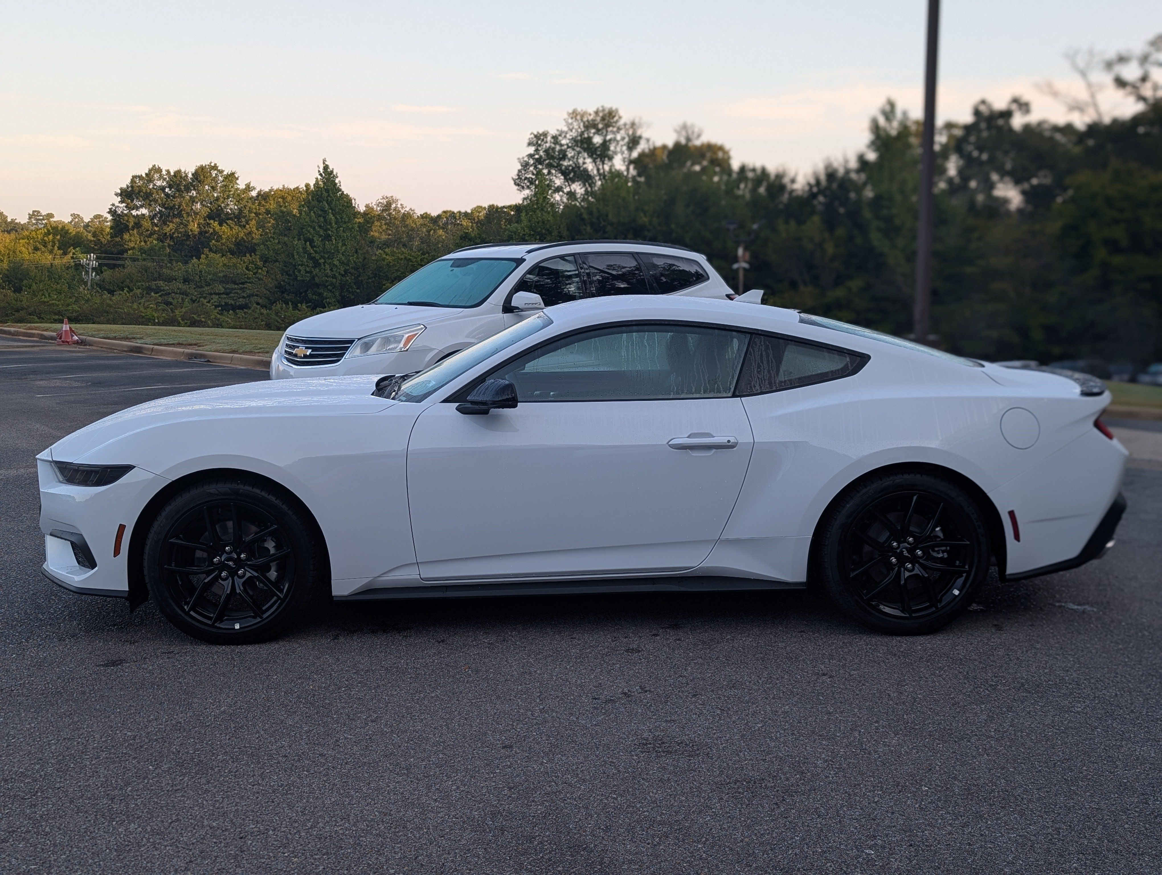 Used 2026 Ford Mustang Premium RWD image 6