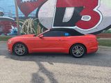 Used 2016 Ford Mustang Premium image 3