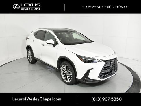 Used 2022 Lexus NX 350h 350h Luxury w/ Vision Package image 2