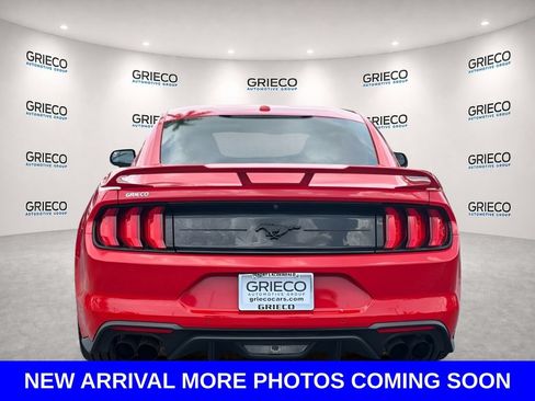 Used 2019 Ford Mustang Coupe w/ Ecoboost Performance Package RWD image 4