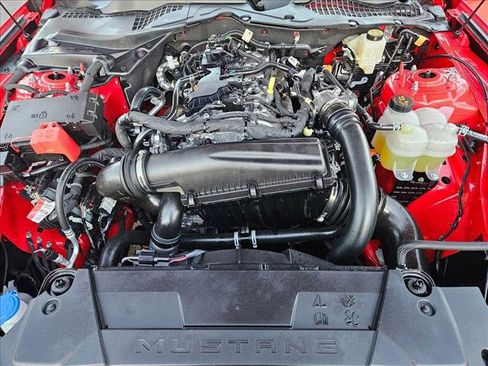 Certified 2026 Ford Mustang Coupe w/ Mustang Nite Pony Package image 20