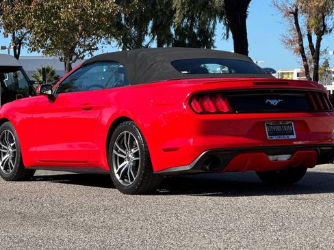 Used 2017 Ford Mustang Premium image 6