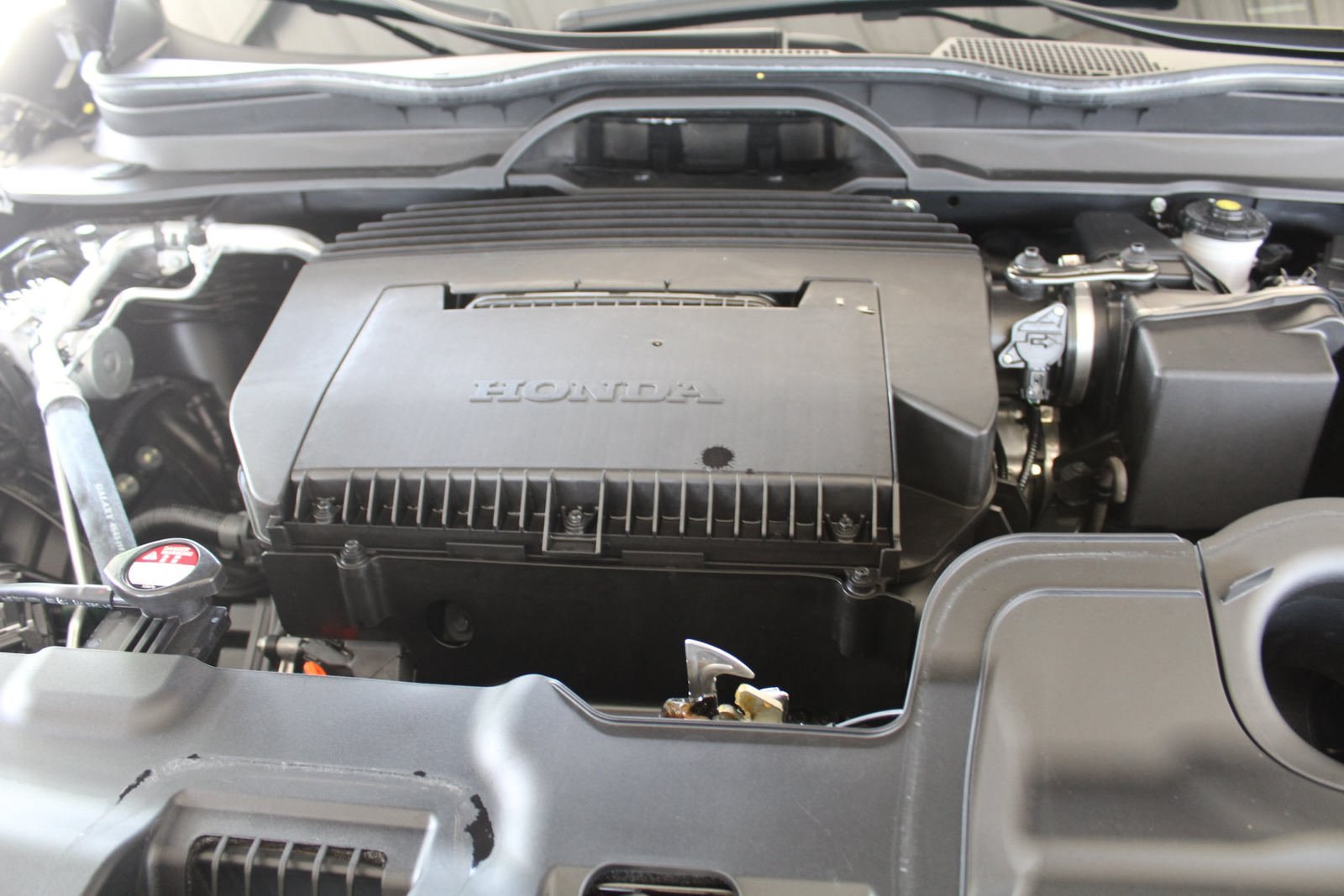 Used 2026 Honda Passport TrailSport image 19