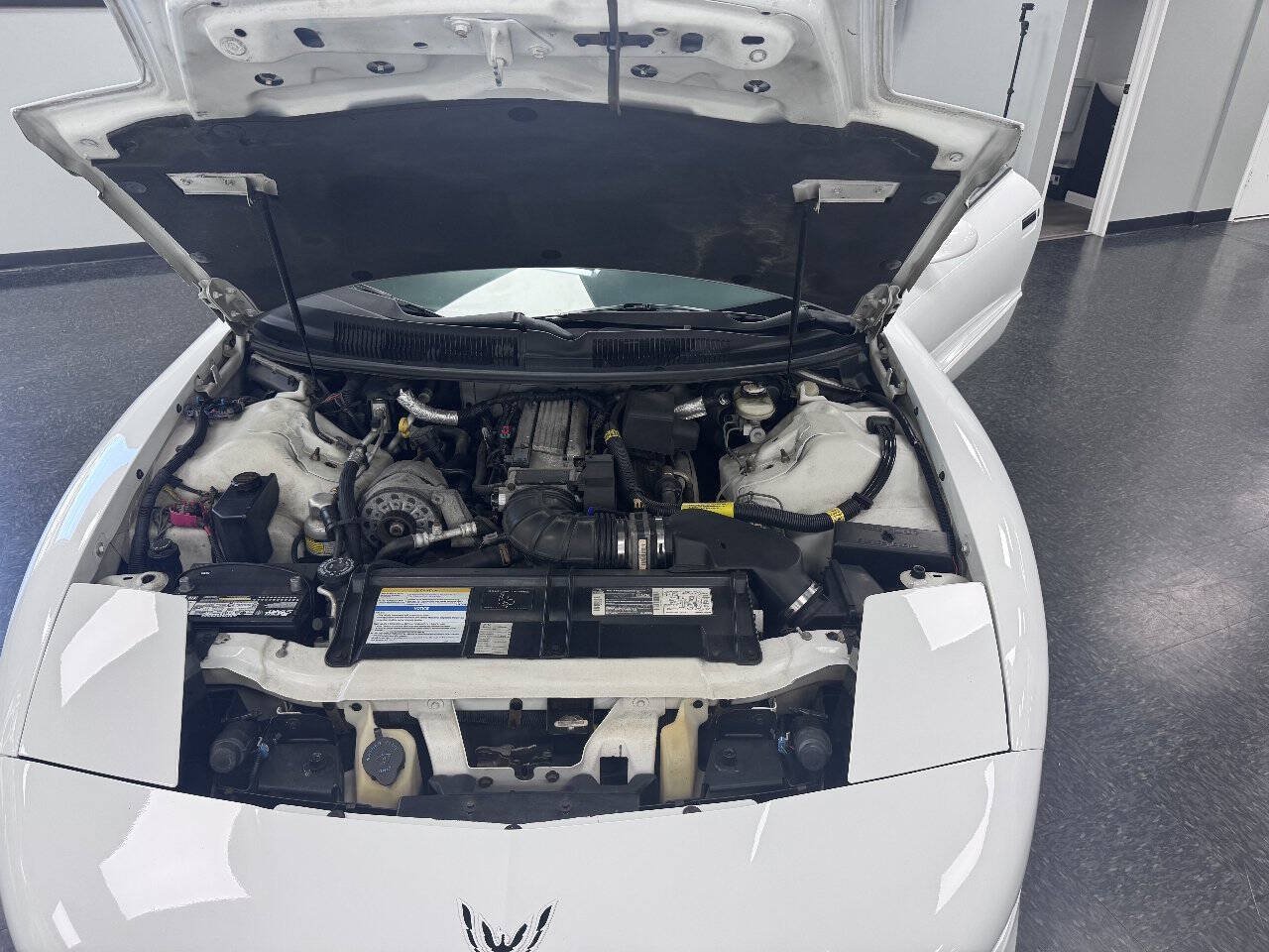 Used 1995 Pontiac Firebird Trans Am RWD image 12