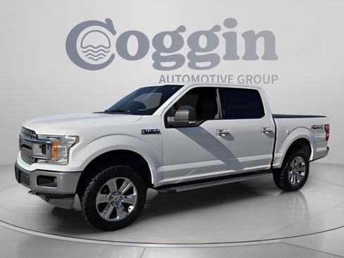 Used 2019 Ford F150 XLT w/ Equipment Group 302A Luxury AWD/4WD image 1