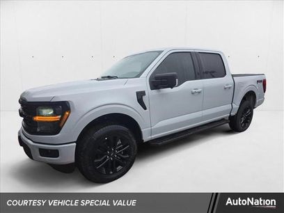 New 2025 Ford F150 XLT w/ Equipment Group 303A High