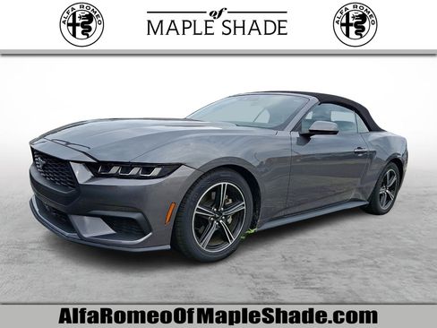 Used 2025 Ford Mustang Premium RWD image 1