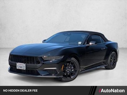 Used 2025 Ford Mustang Convertible w/ Mustang Nite Pony Package