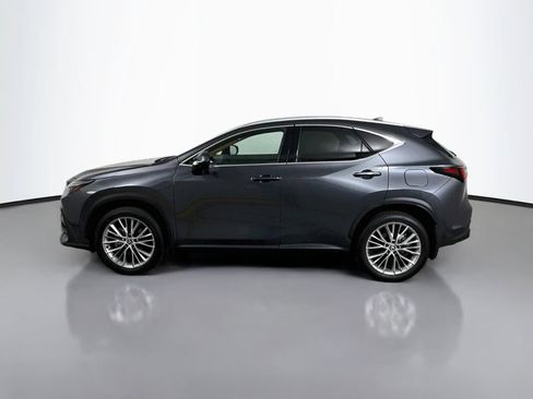 Certified 2025 Lexus NX 350h AWD w/ Accessory Package (2T) image 8