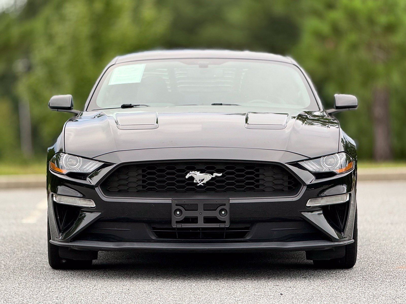 Used 2019 Ford Mustang Coupe RWD image 3
