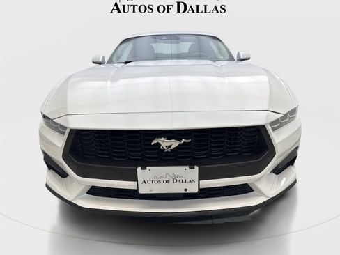 Used 2025 Ford Mustang Coupe RWD image 3