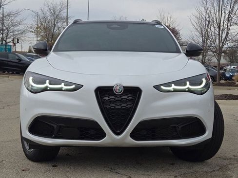 New 2025 Alfa Romeo Stelvio Sprint image 4
