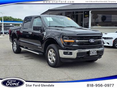 Used 2025 Ford F150 XLT w/ Equipment Group 301A Standard