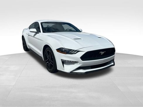 Used 2023 Ford Mustang Premium image 2