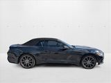 Used 2016 Ford Mustang Premium w/ Equipment Group 201A image 2