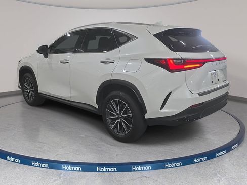 Used 2025 Lexus NX 350h AWD w/ Accessory Package (Z2) image 7