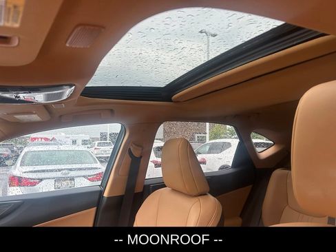 Certified 2026 Lexus NX 350h AWD w/ Cold Area Package image 8