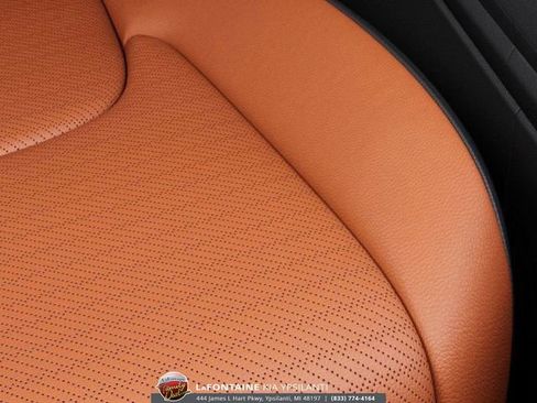 New 2026 Kia Carnival SX Prestige image 11