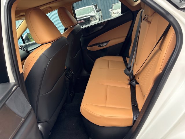 Used 2024 Lexus NX 350h AWD image 21